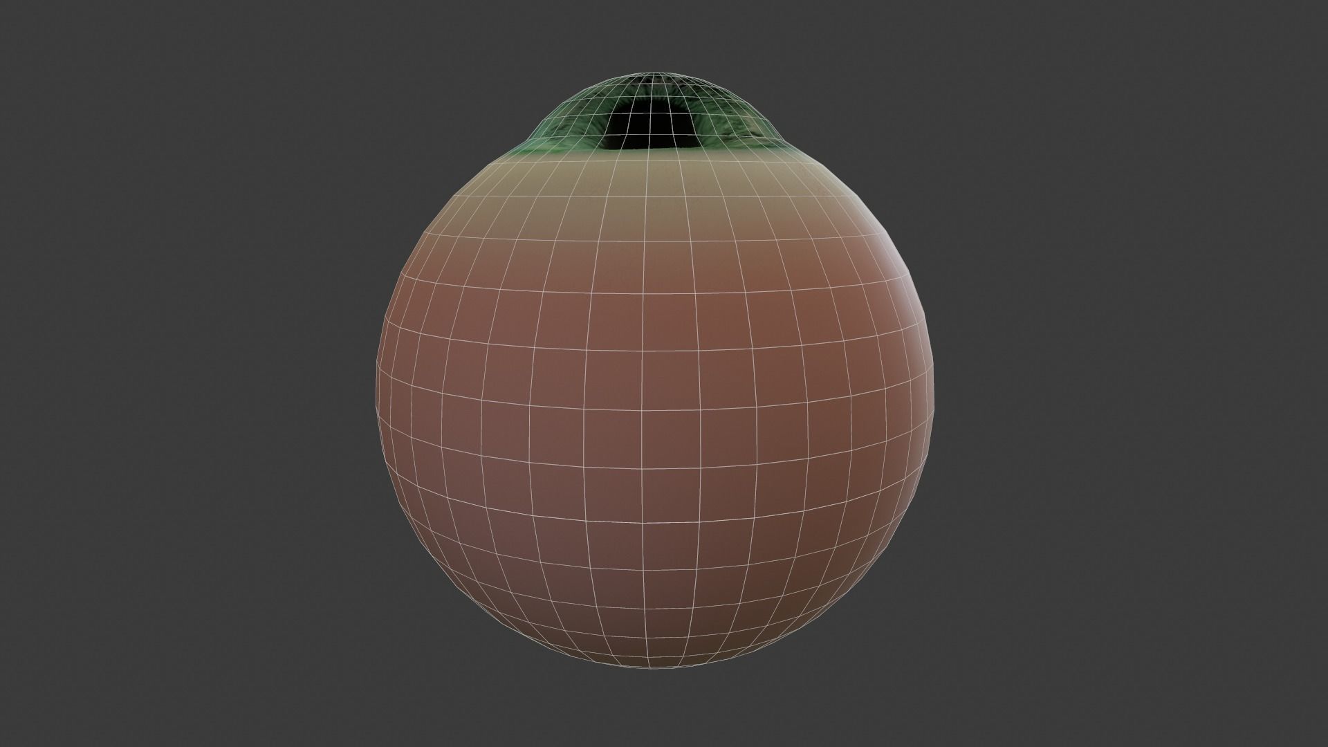 Eye Anatomy Low-poly 3D model_9