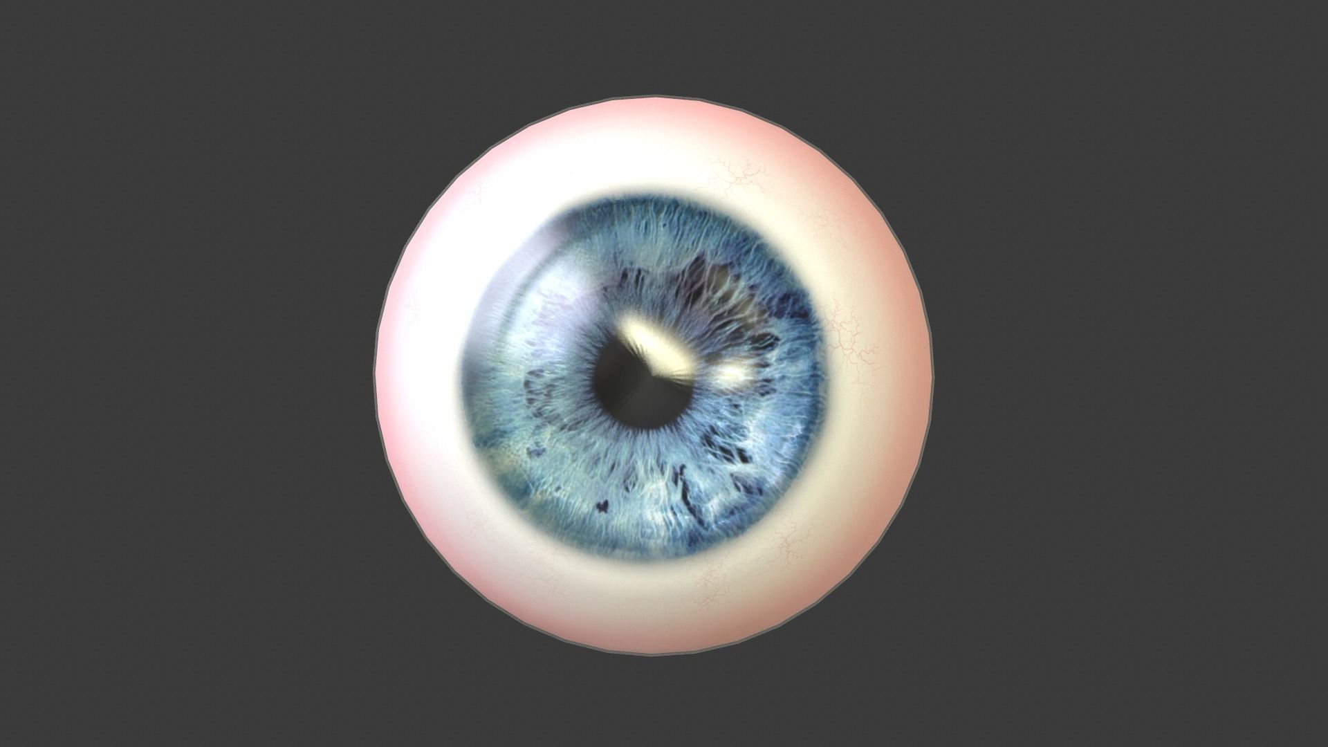 Eye Anatomy Low-poly 3D model_1