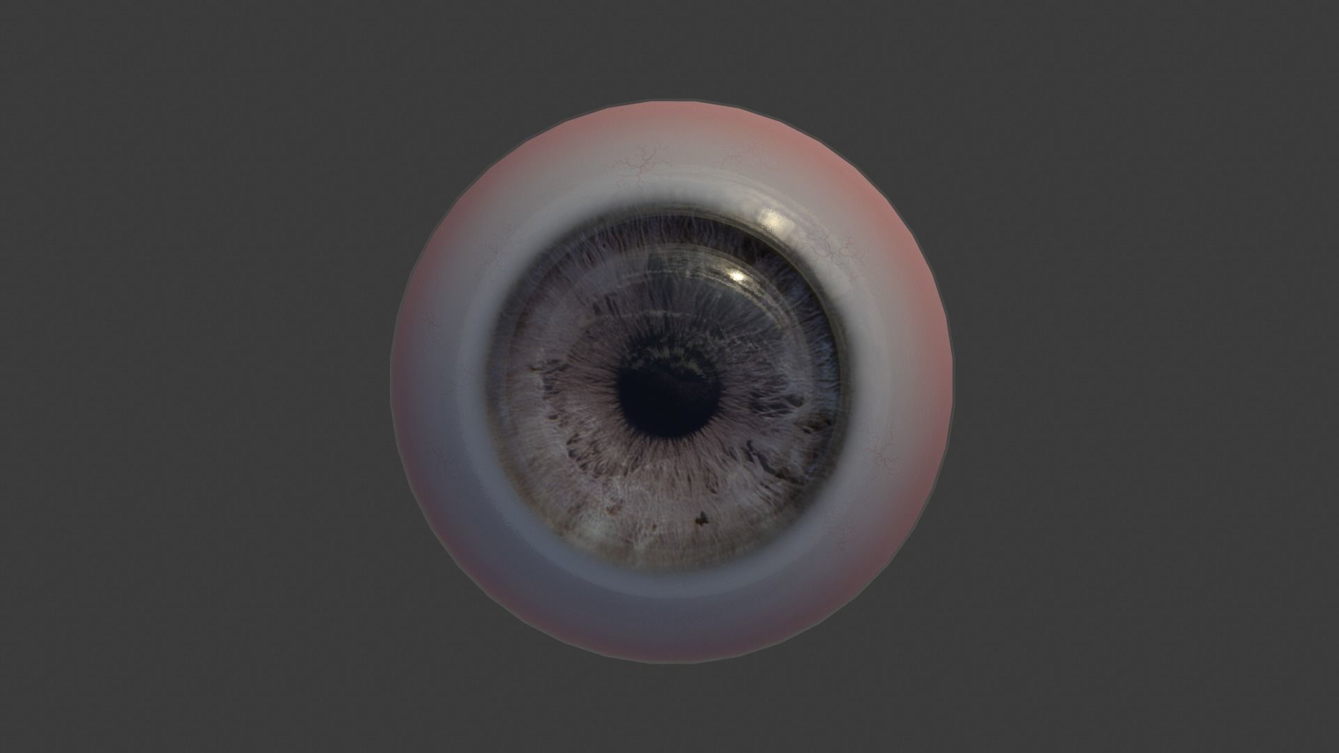 Eye Anatomy Low-poly 3D model_18
