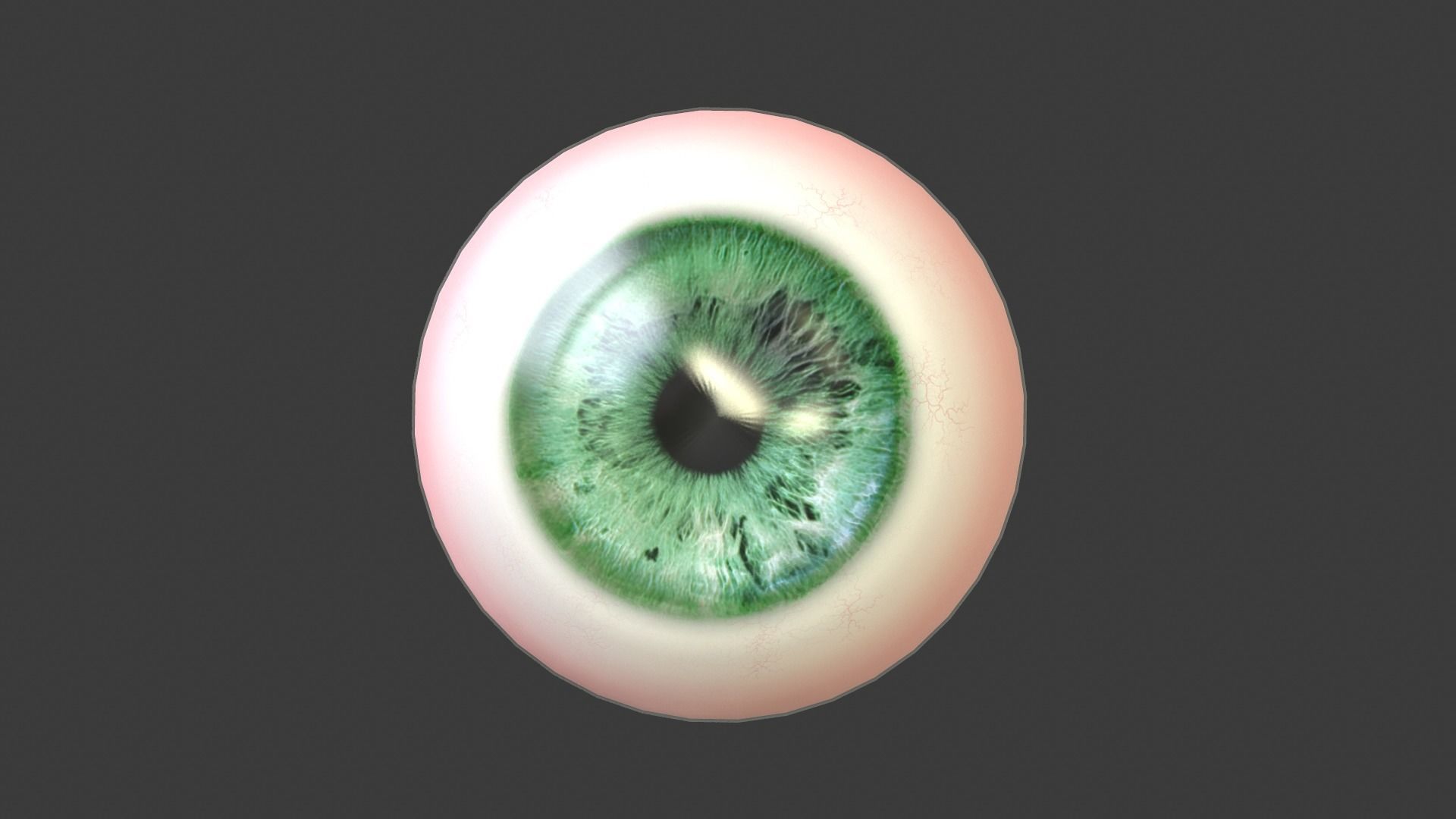 Eye Anatomy Low-poly 3D model_5