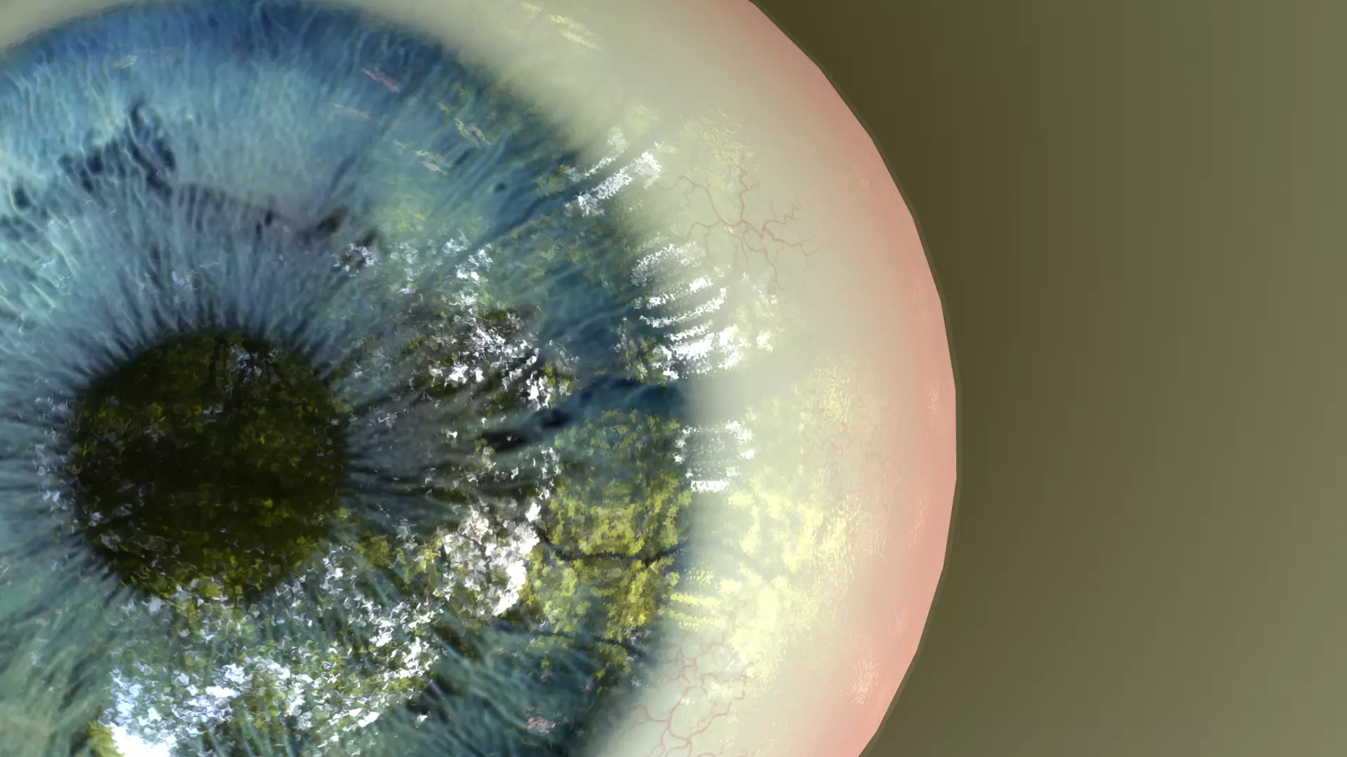 Eye Anatomy Low-poly 3D model_0