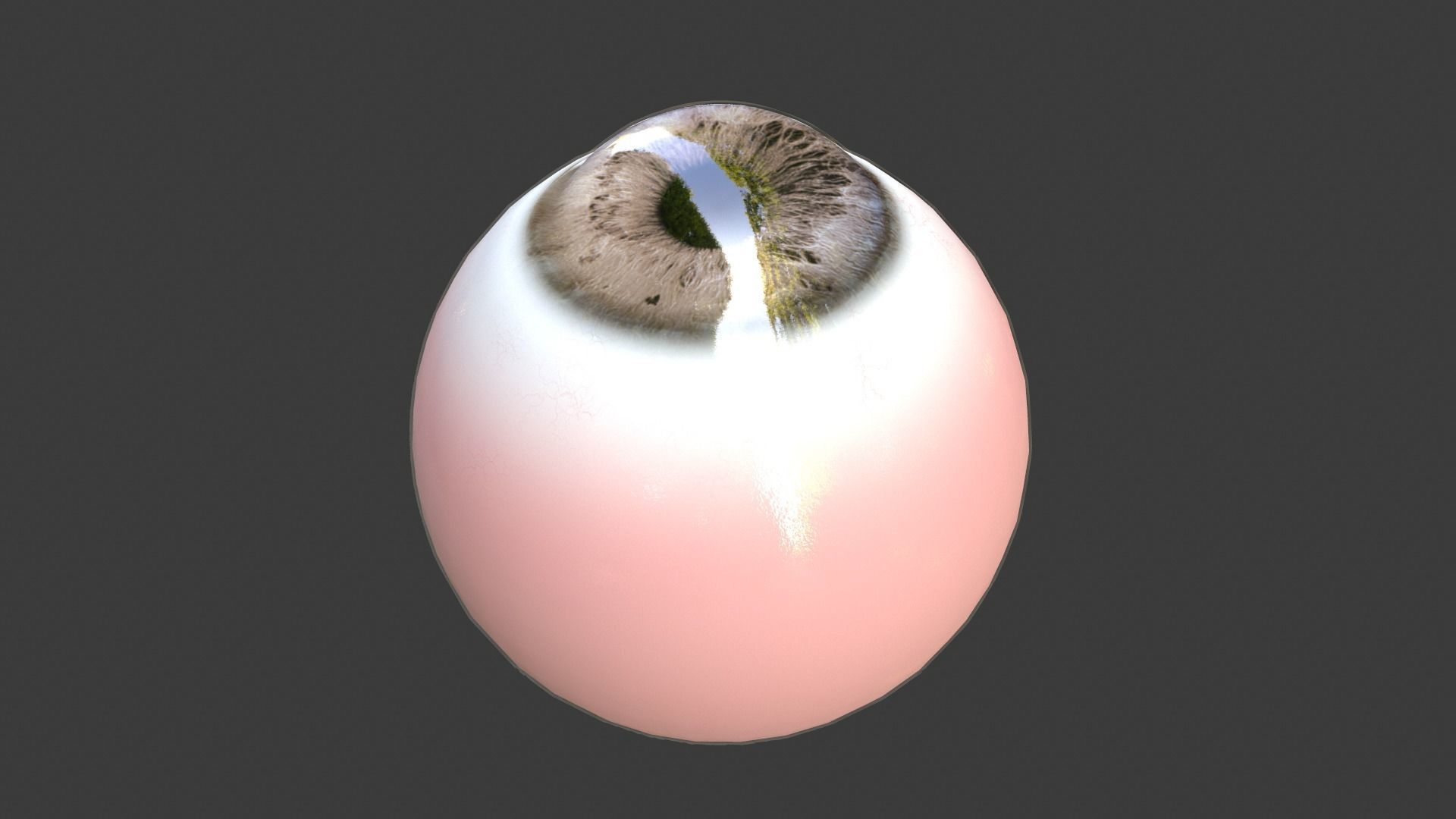 Eye Anatomy Low-poly 3D model_7