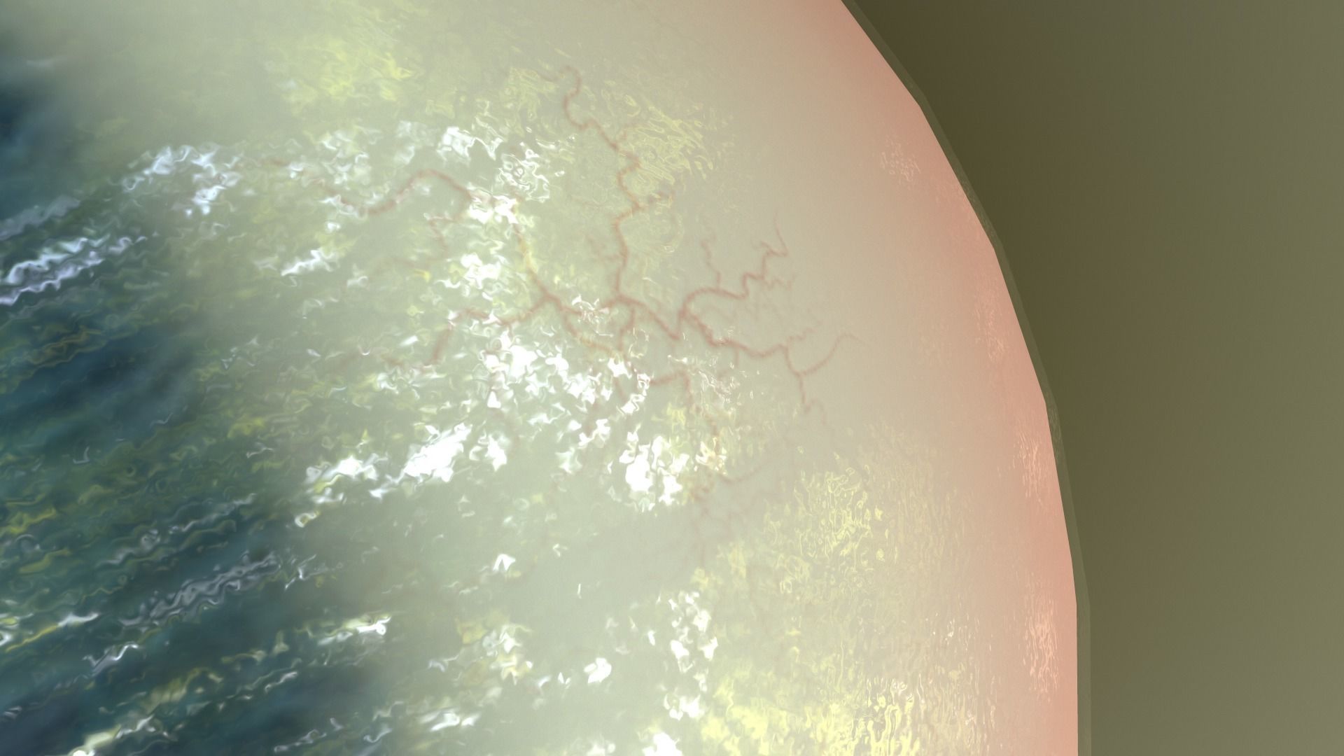 Eye Anatomy Low-poly 3D model_21