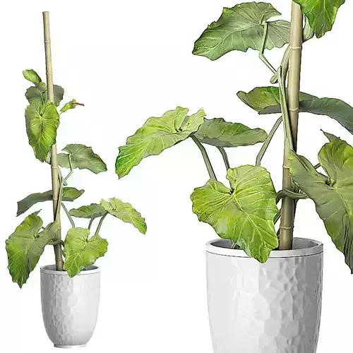 Flower Pack 83 3D model