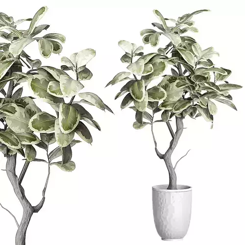 Flower Pack 84 3D model