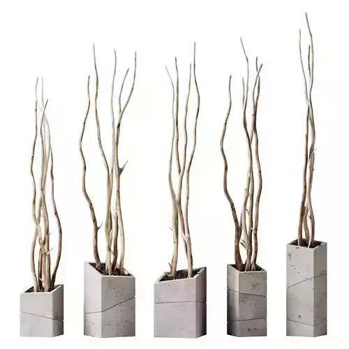 Branch decor vase slice n2