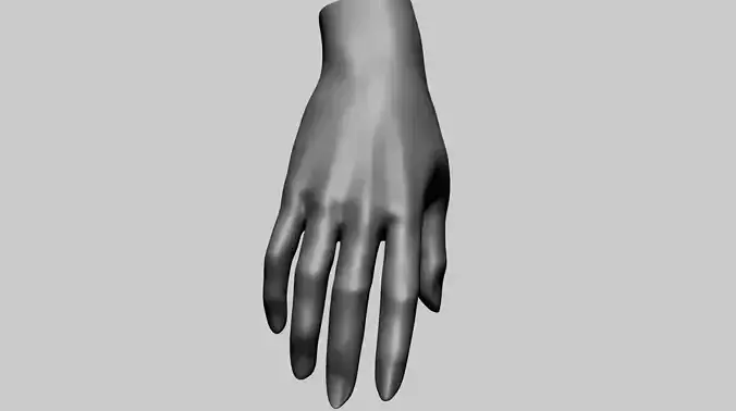Female Hand Printable 3D print model