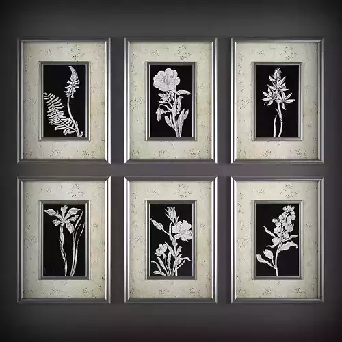 Picture Frames