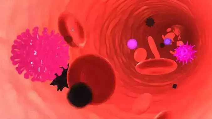 Blood cell animation