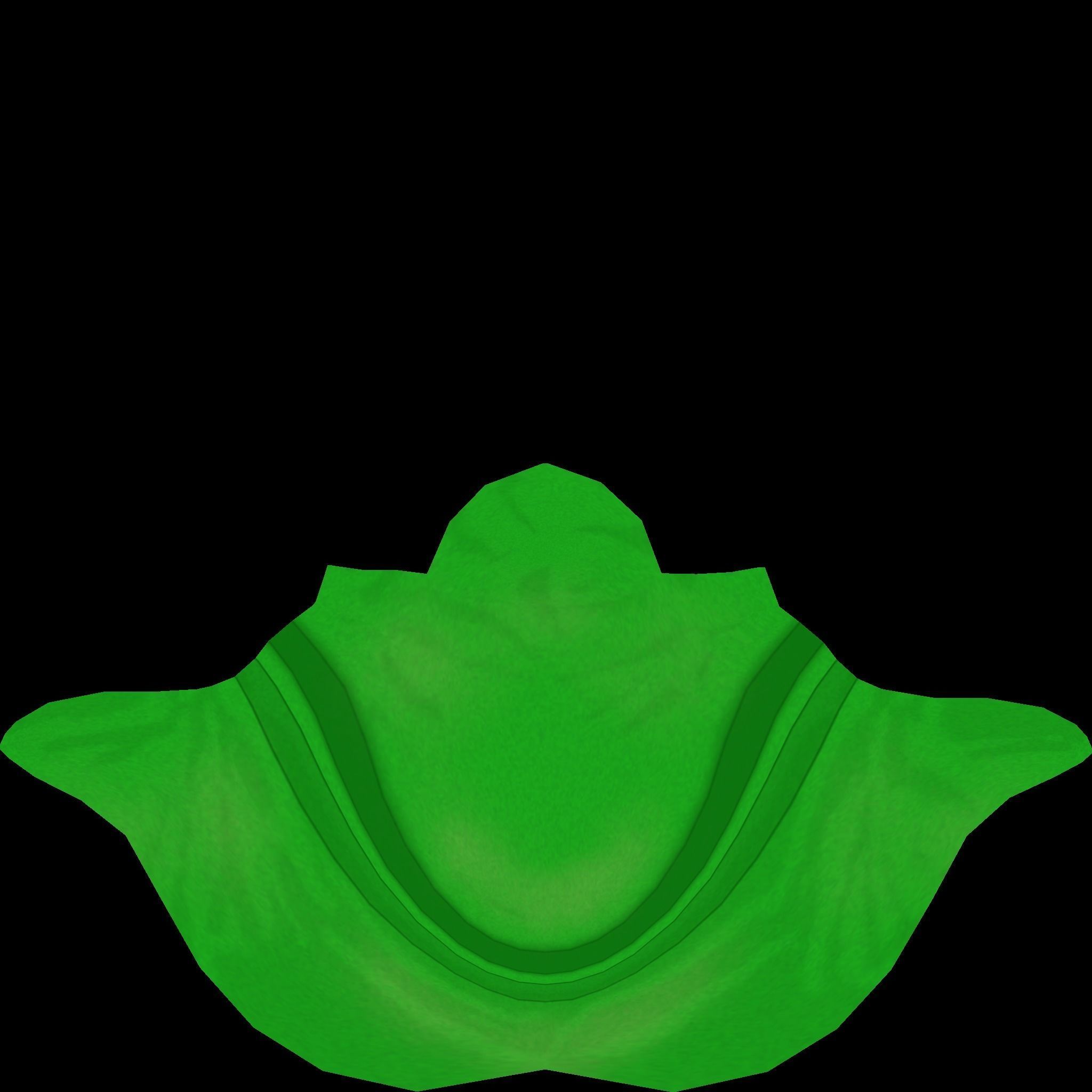 Hat - Inspired in Link - Legend of Zelda Low-poly 3D model_7