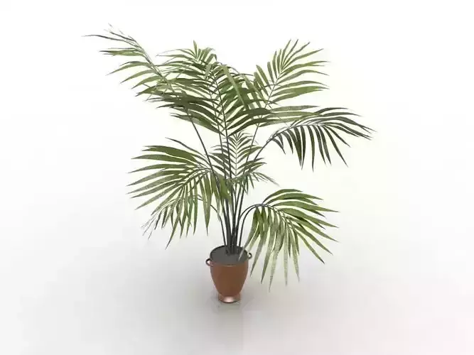 Green Vase with Plant