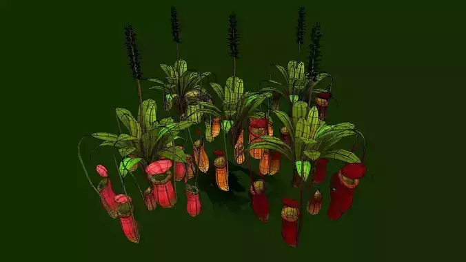Flower Nepenthes Attenboroughii Low-poly 3D model