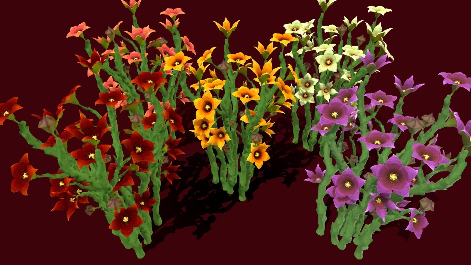 Flower Caralluma Socotrana Low-poly 3D model_4