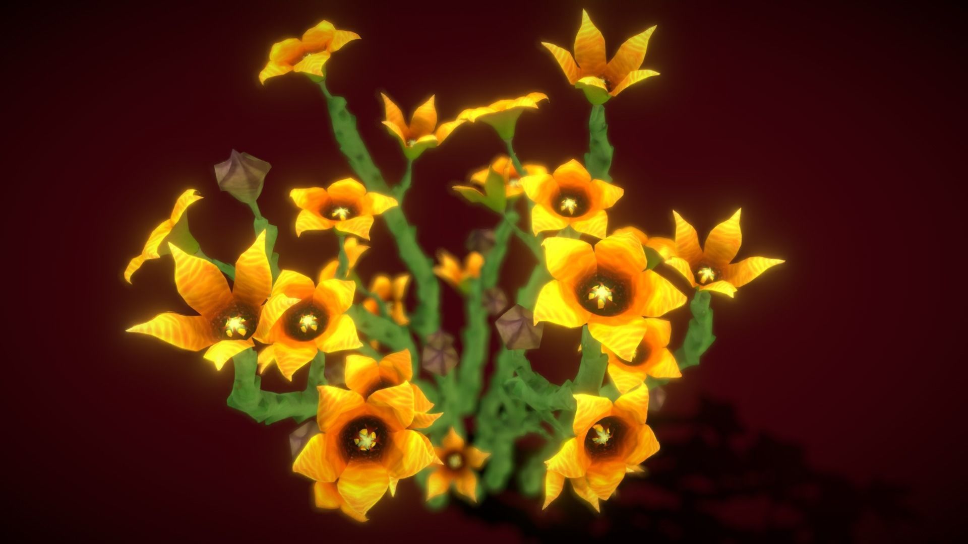 Flower Caralluma Socotrana Low-poly 3D model_5