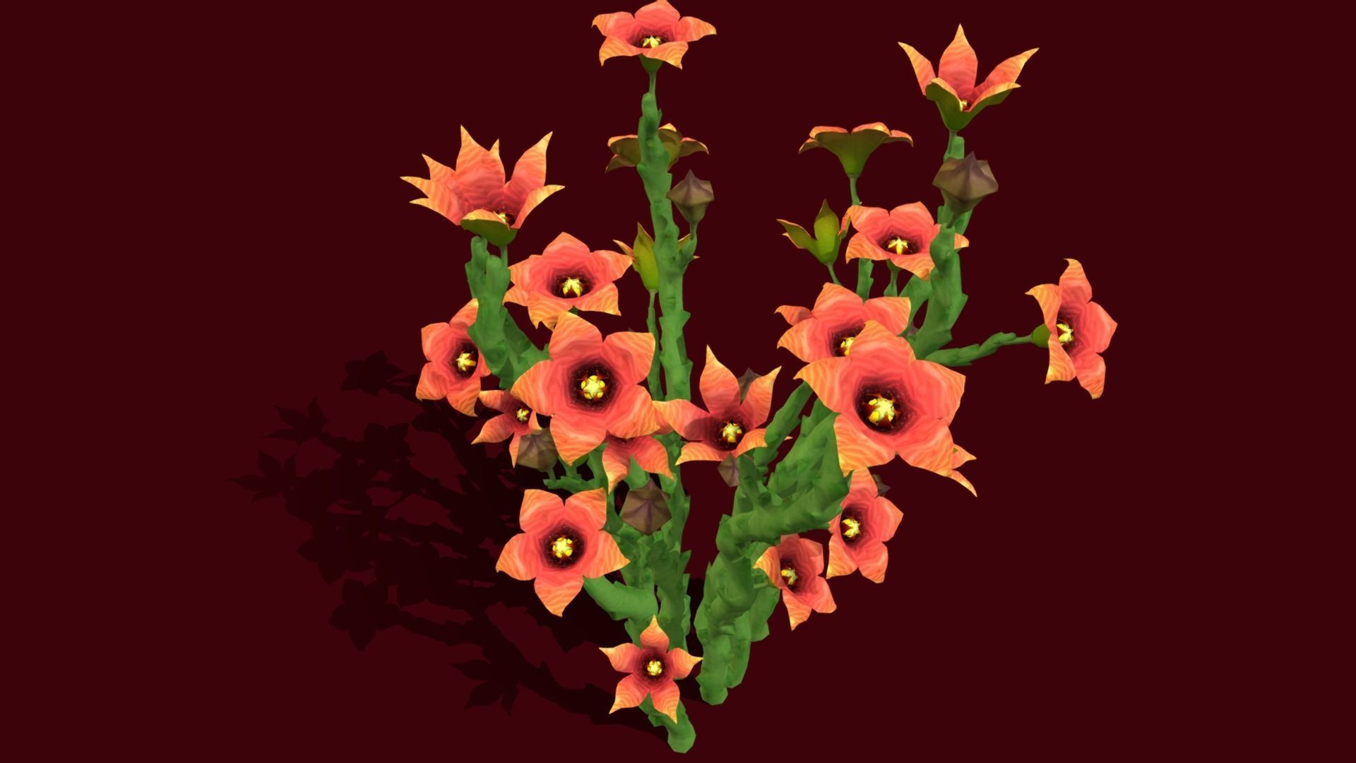 Flower Caralluma Socotrana Low-poly 3D model_8