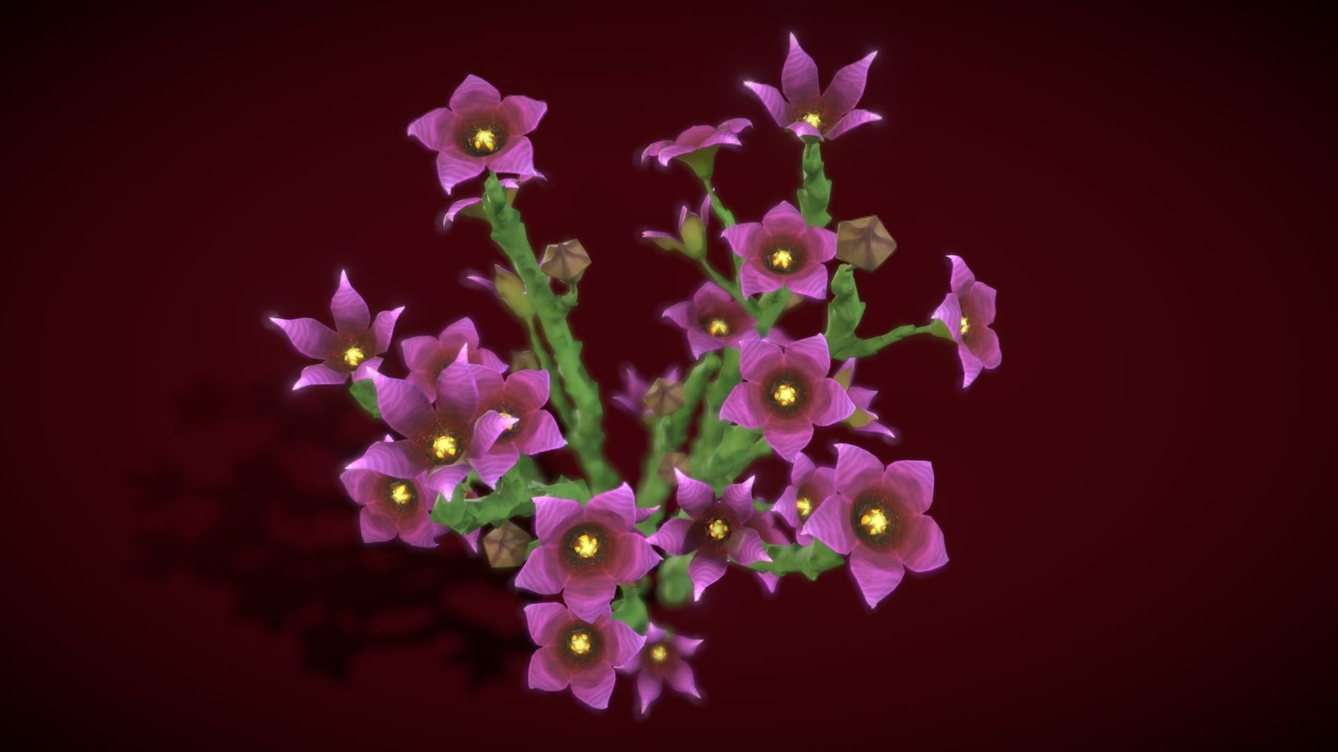 Flower Caralluma Socotrana Low-poly 3D model_6