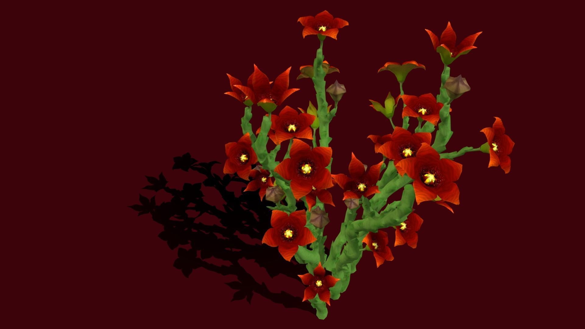Flower Caralluma Socotrana Low-poly 3D model_9