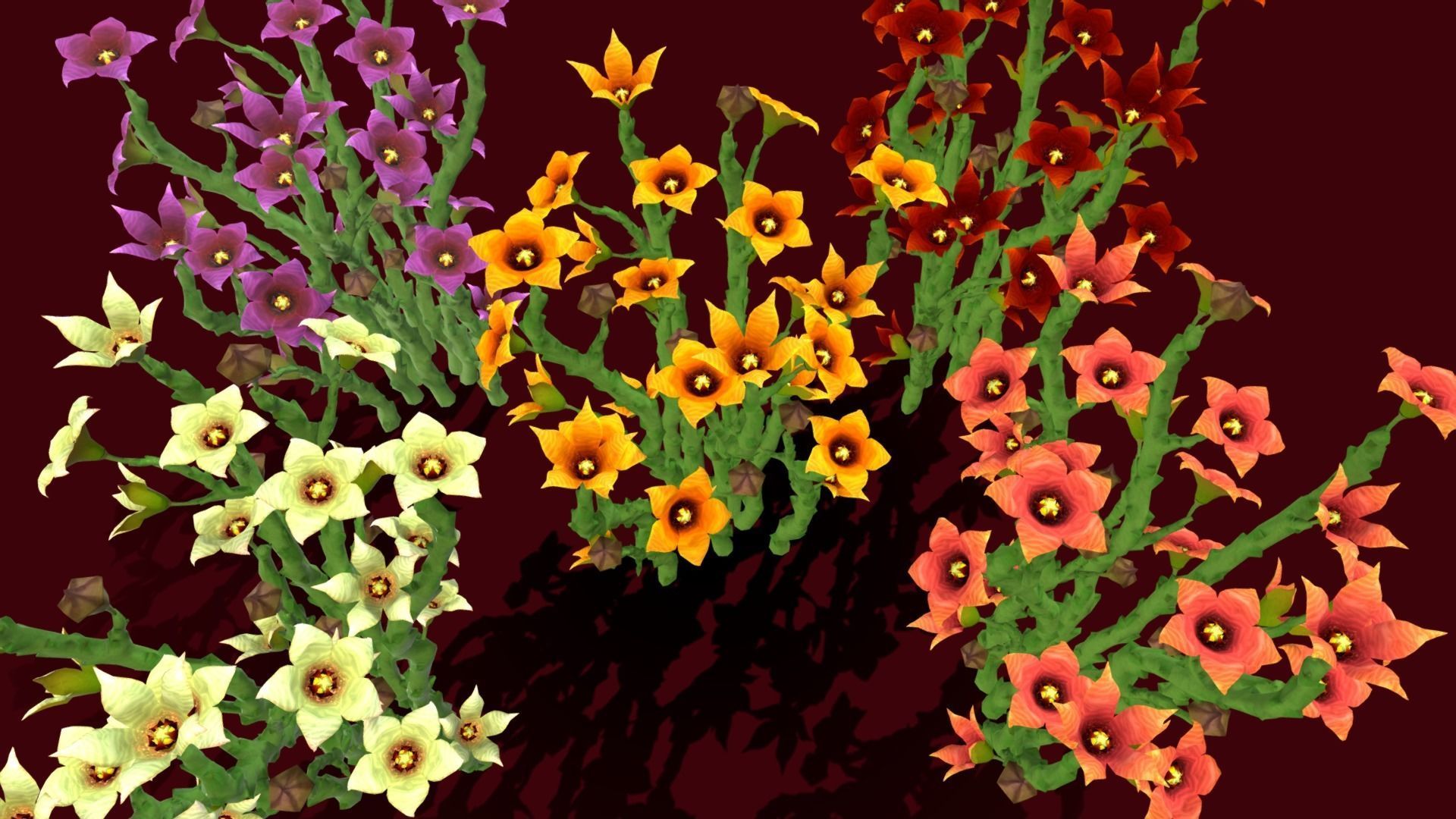 Flower Caralluma Socotrana Low-poly 3D model_1