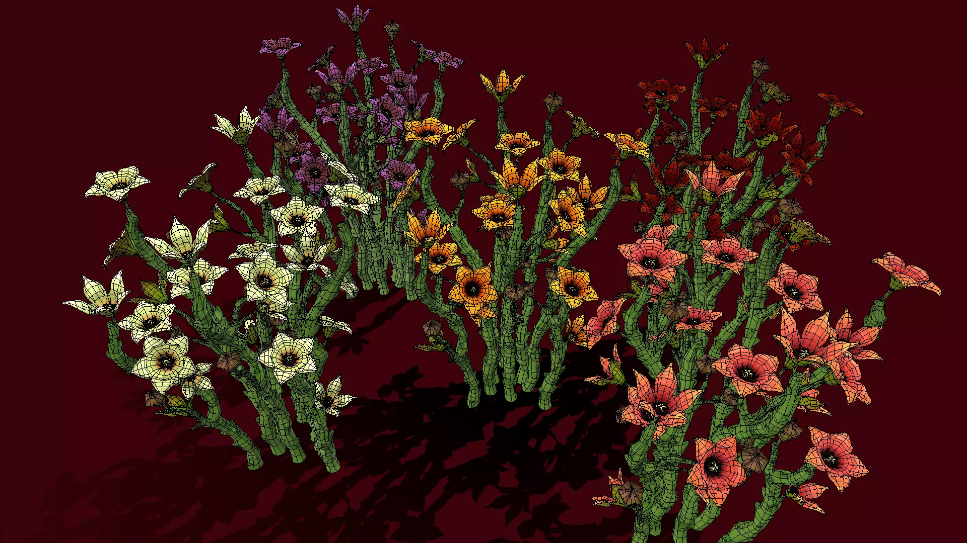 Flower Caralluma Socotrana Low-poly 3D model_0