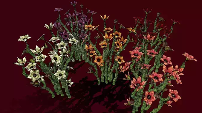 Flower Caralluma Socotrana Low-poly 3D model