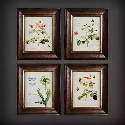Picture Frames