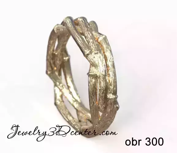 ring obr 300