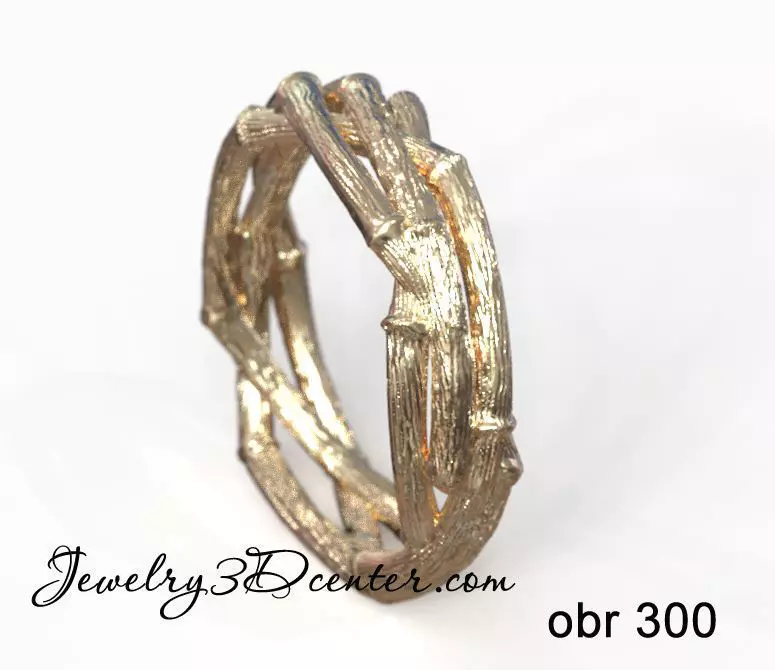 ring obr 300 3D print model