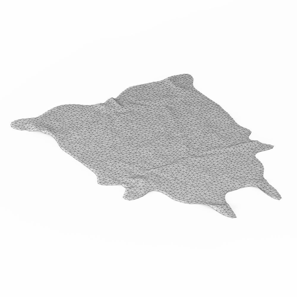 Nine Rugs From Animal Skins 08 3D model_30