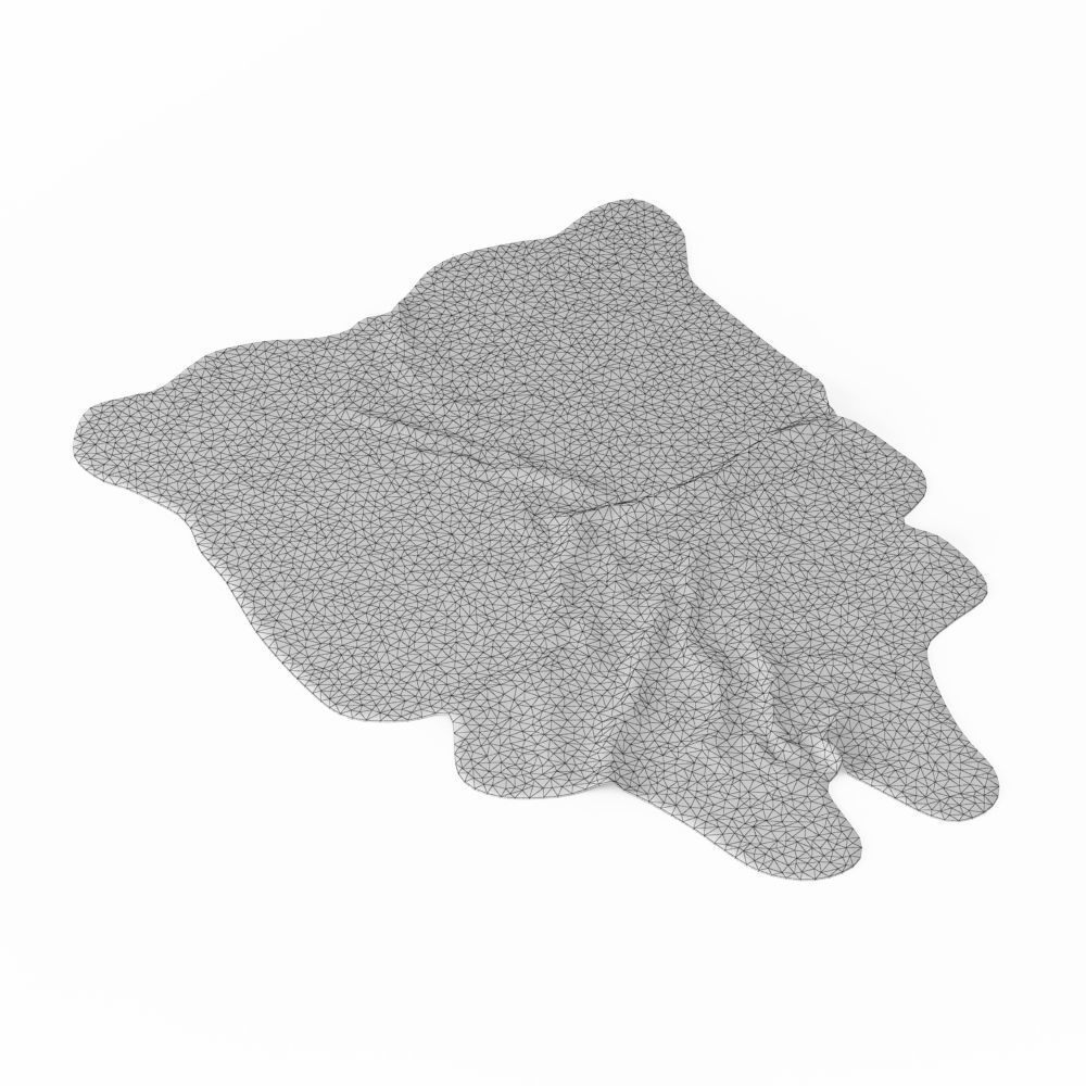 Nine Rugs From Animal Skins 08 3D model_24