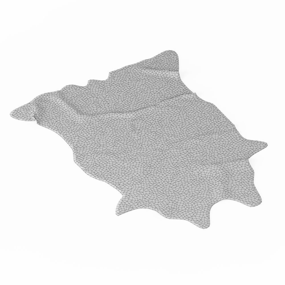 Nine Rugs From Animal Skins 08 3D model_54