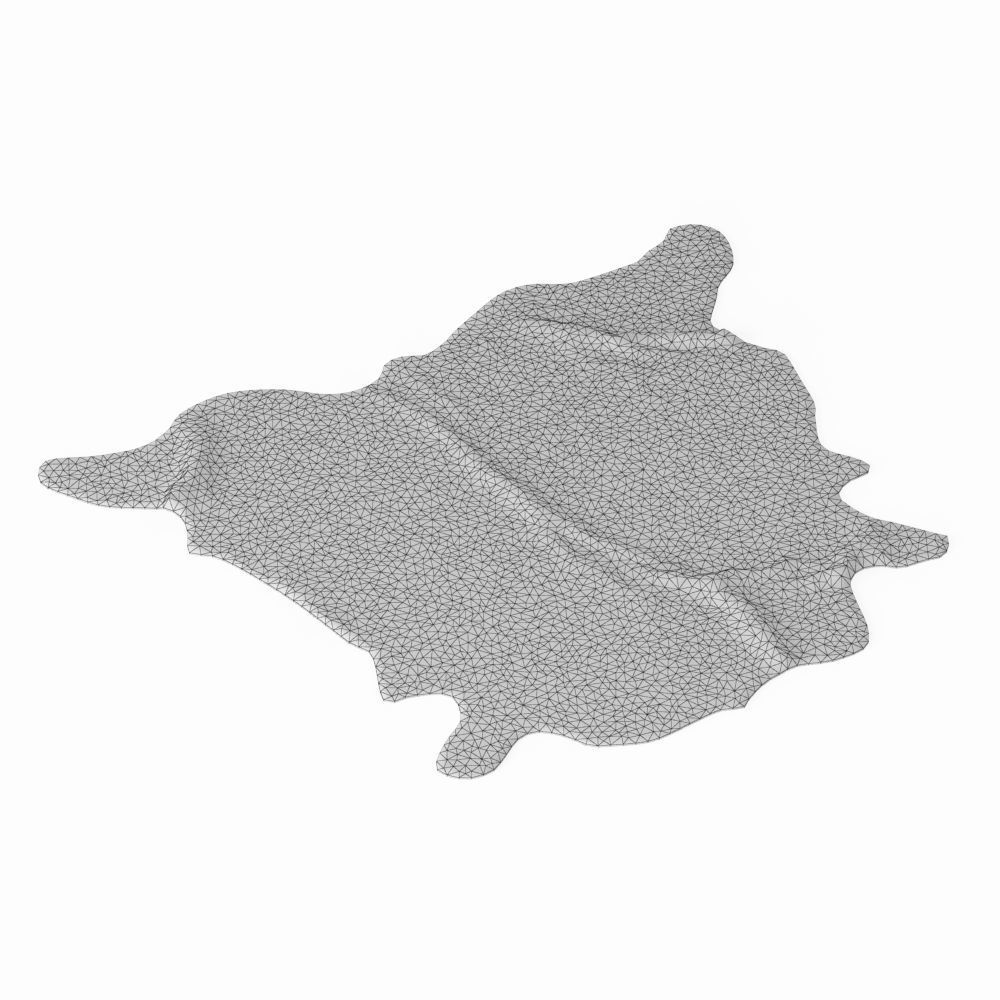 Nine Rugs From Animal Skins 08 3D model_12