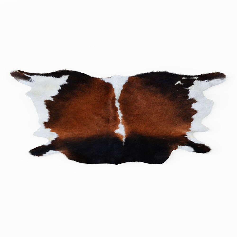 Nine Rugs From Animal Skins 08 3D model_8