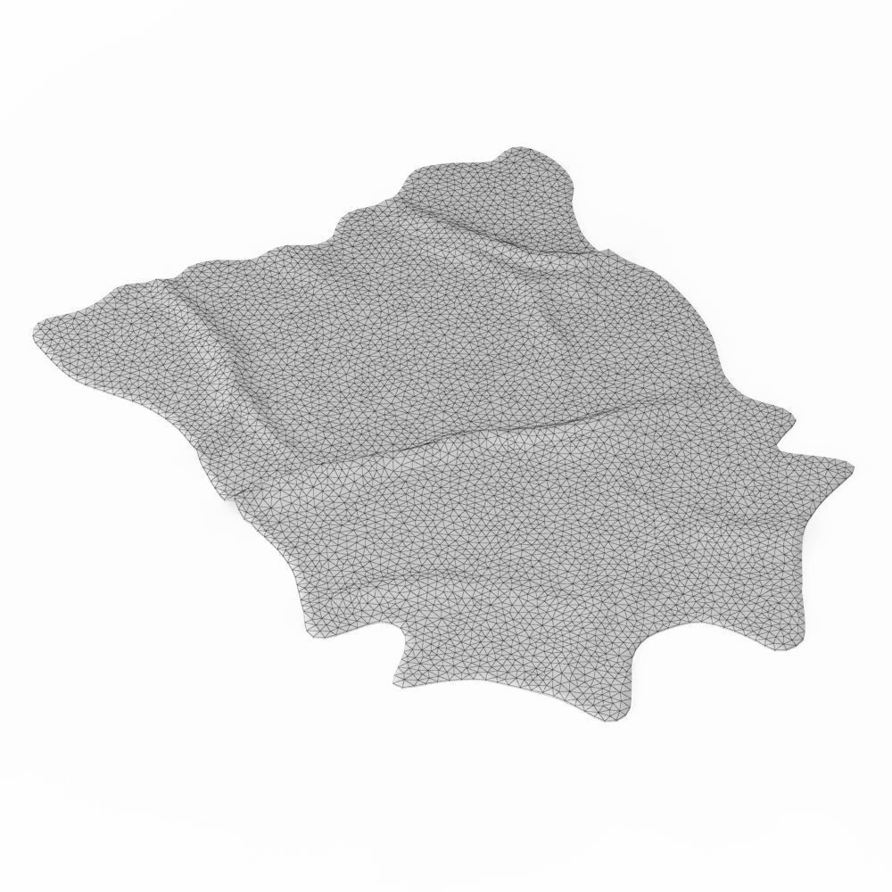 Nine Rugs From Animal Skins 08 3D model_48