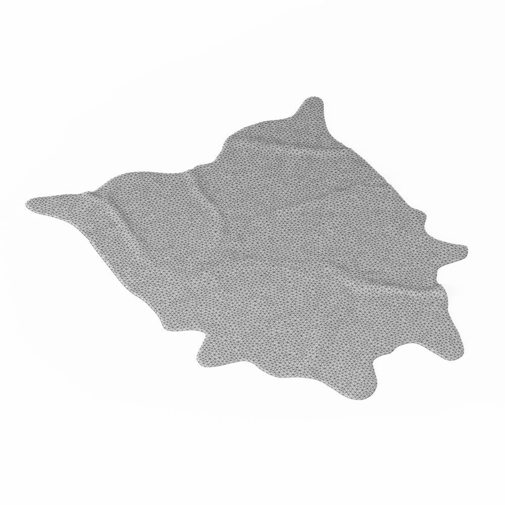 Nine Rugs From Animal Skins 08 3D model_36