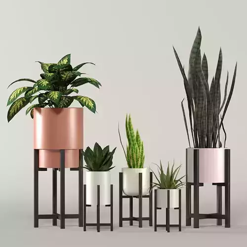 stratton home decor plant box collection