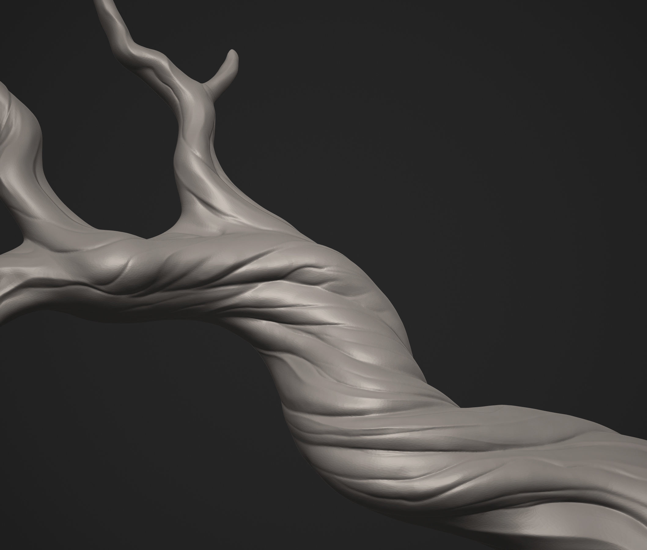 Beautiful Stylized Tree Trunk Short  3D print model_2