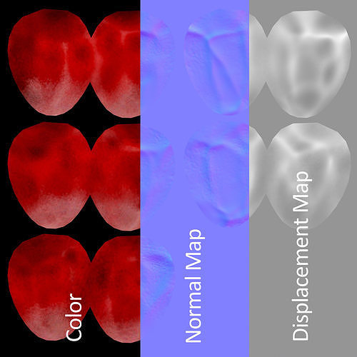 Pomegranate Seeds 3D model 7