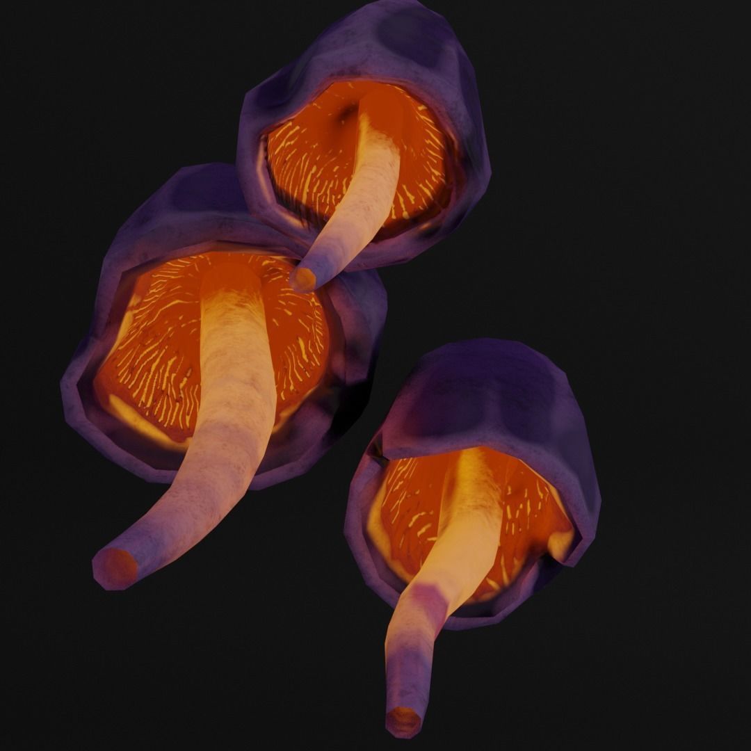 mushroom Low-poly 3D model_3