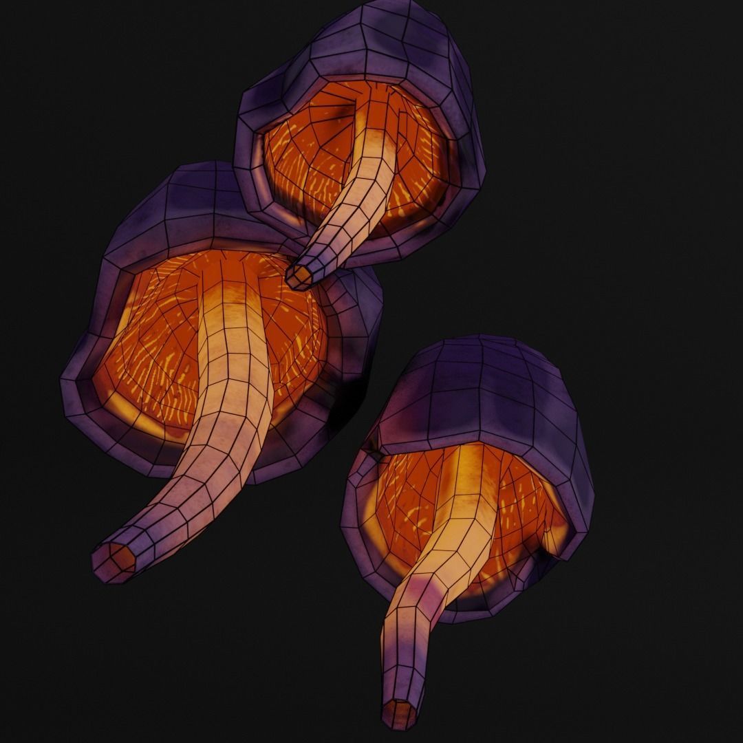 mushroom Low-poly 3D model_8