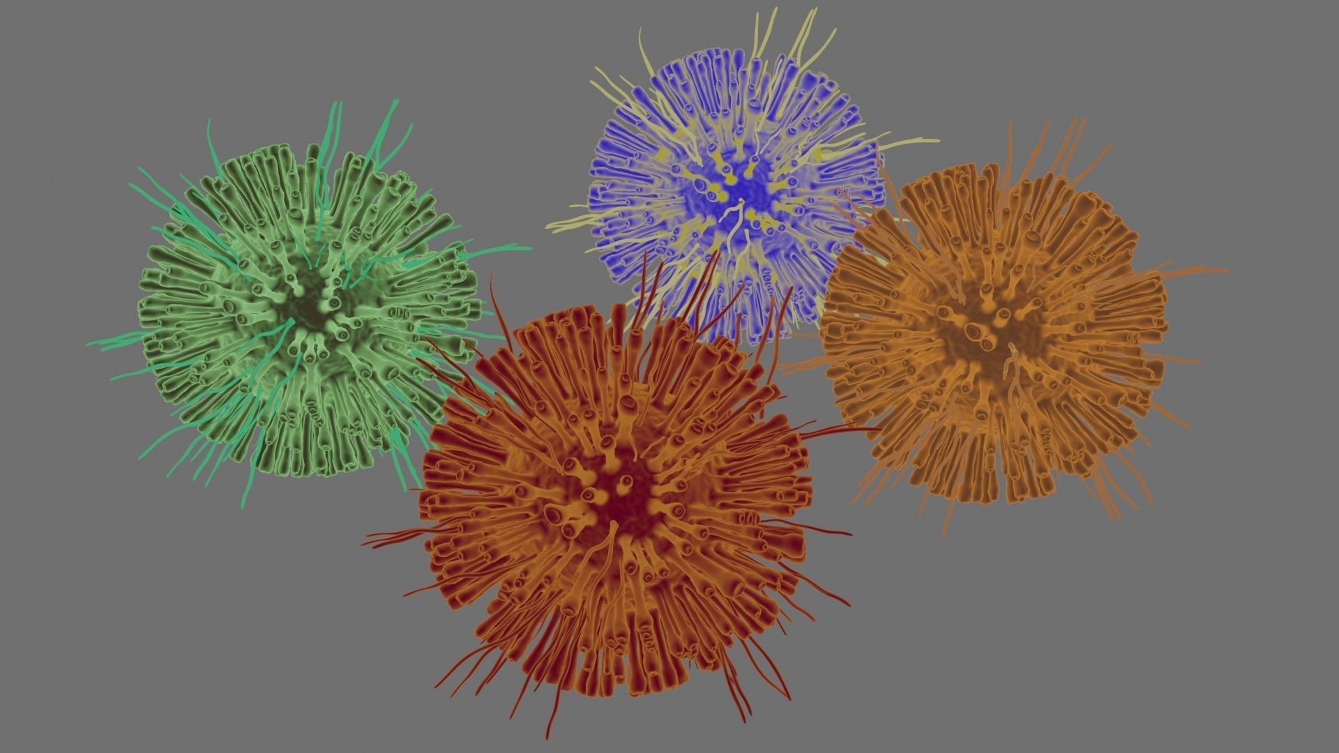 Corona Virus Pack 3D model_6