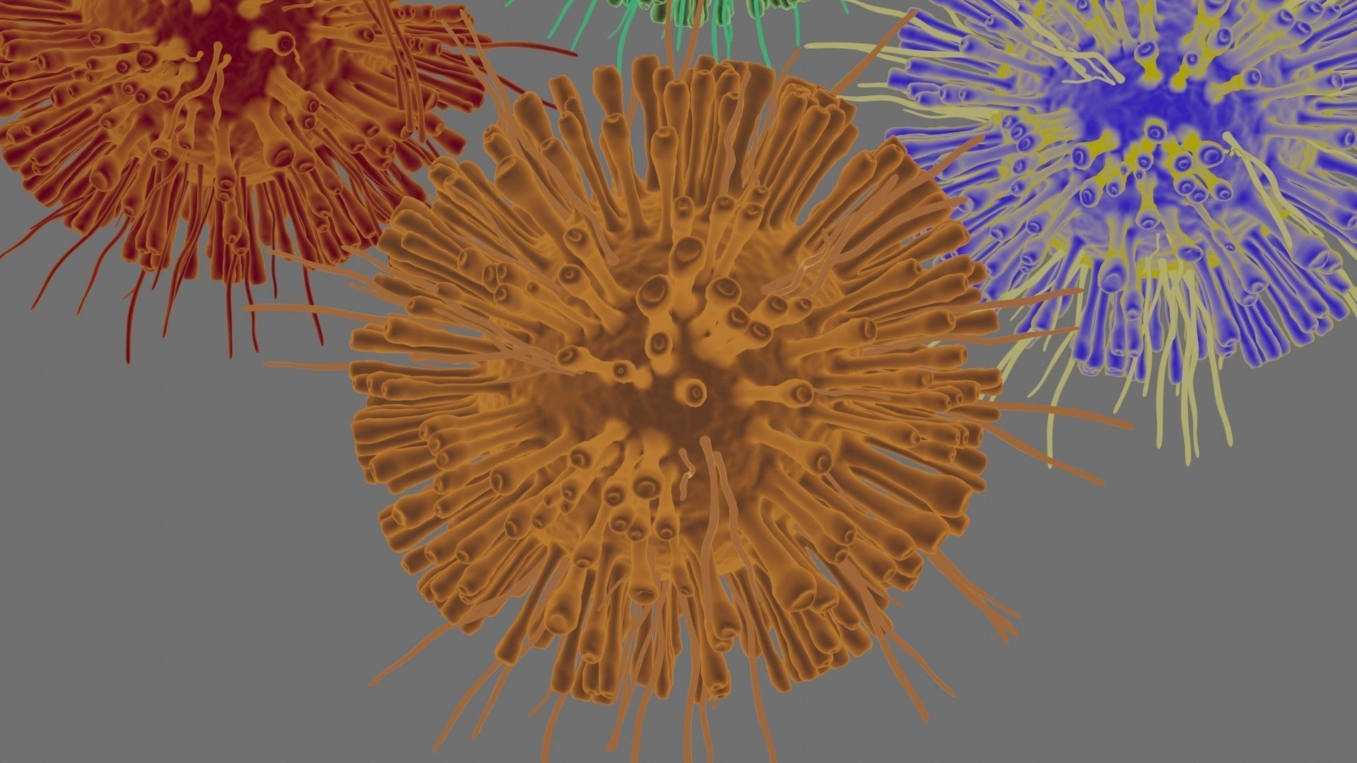 Corona Virus Pack 3D model_4