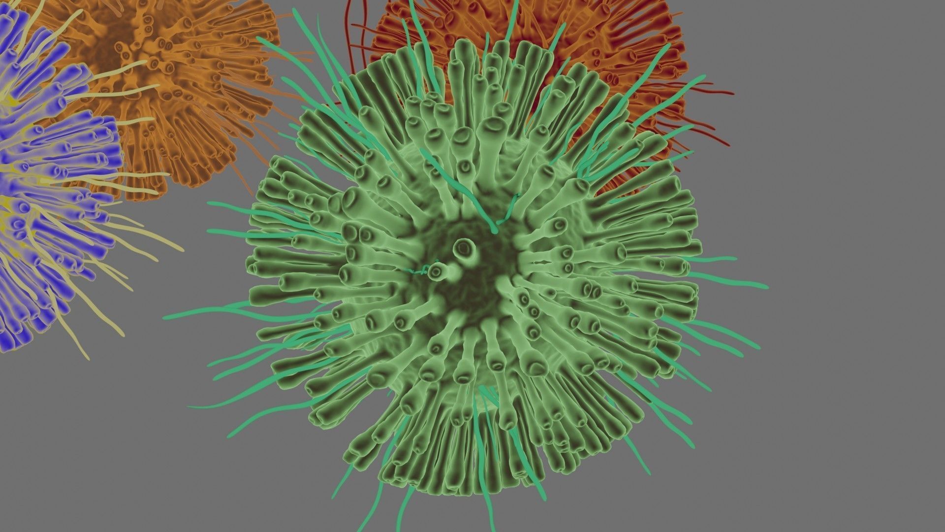 Corona Virus Pack 3D model_3