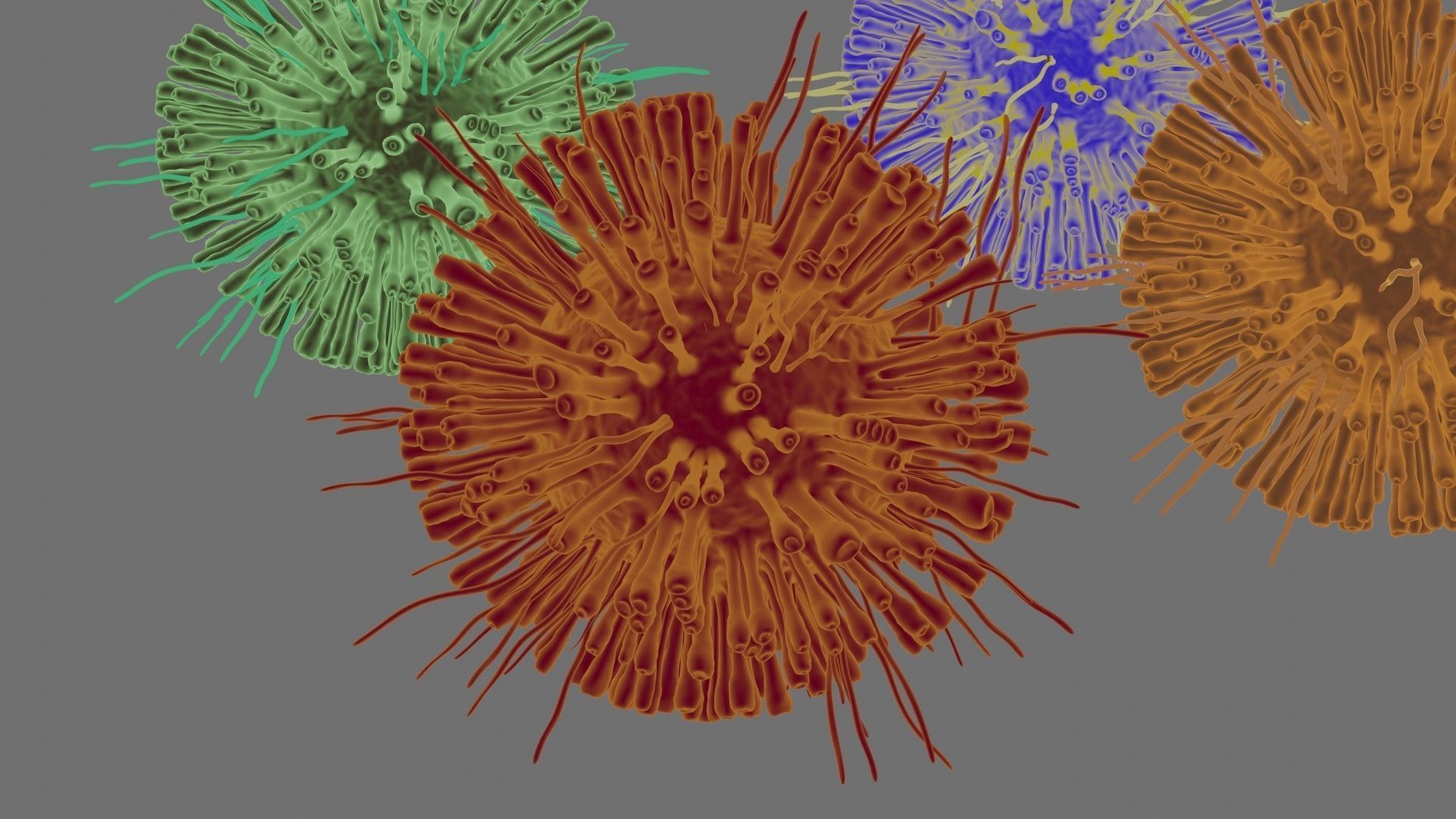 Corona Virus Pack 3D model_1