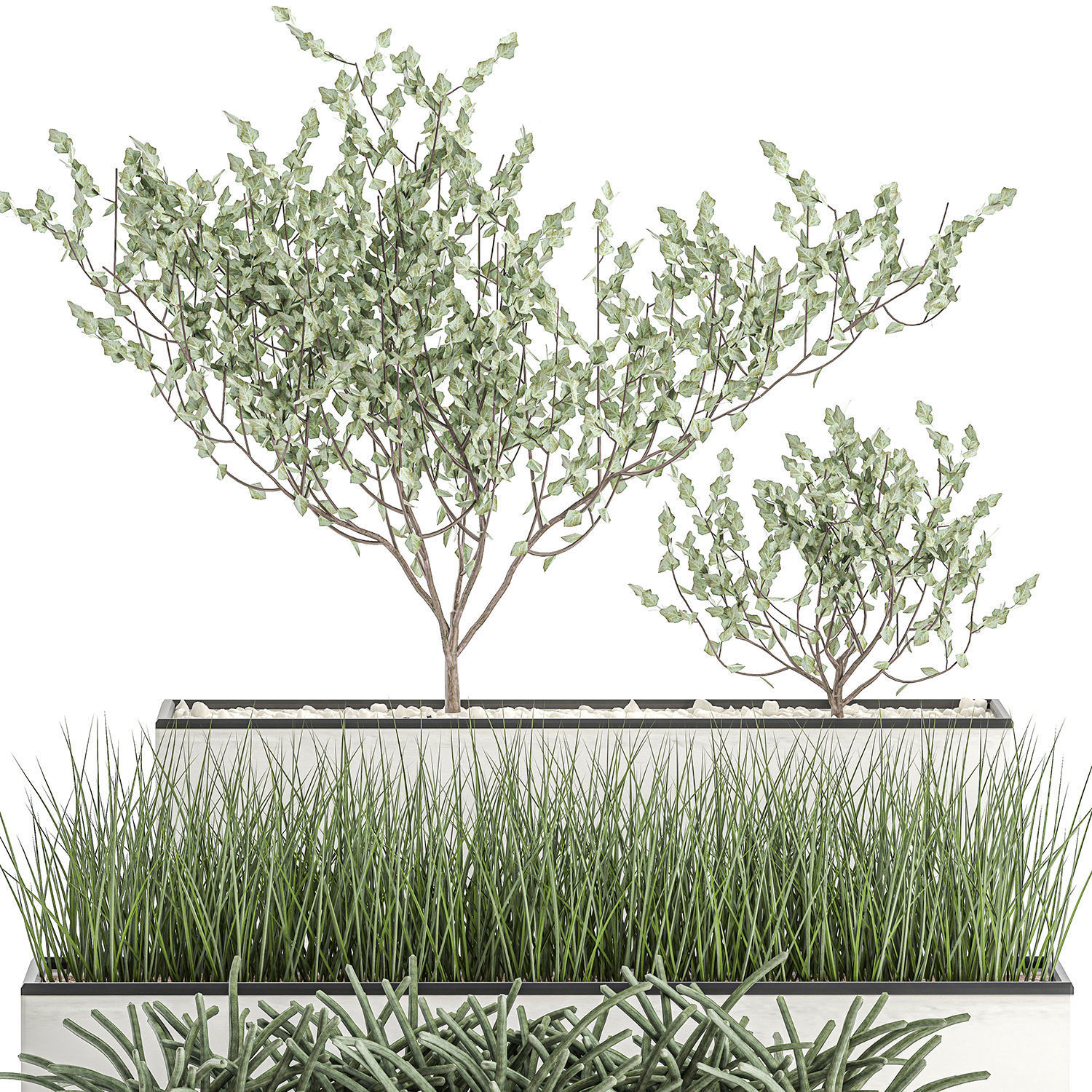 Decorative plants for the interior in a white flowerpot 585 3D model_8