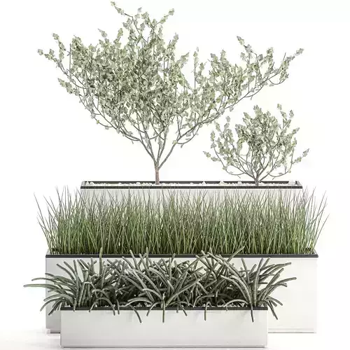 Decorative plants for the interior in a white flowerpot 585 3D model