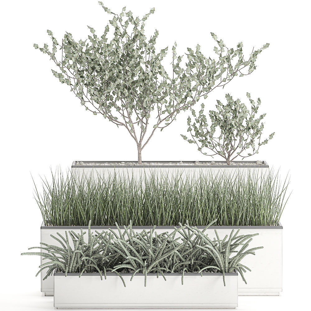 Decorative plants for the interior in a white flowerpot 585 3D model_5