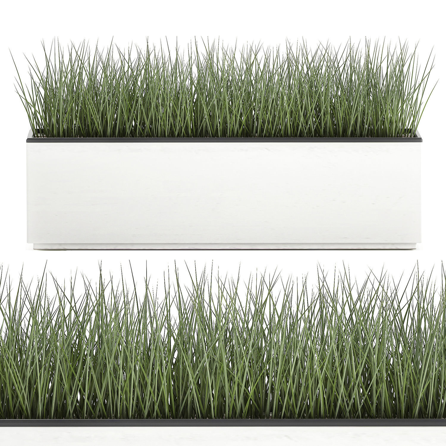 Decorative plants for the interior in a white flowerpot 585 3D model_6