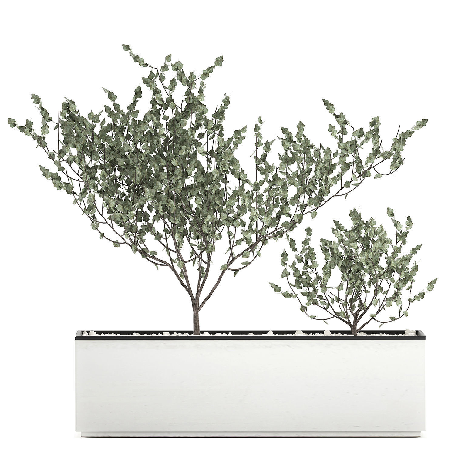 Decorative plants for the interior in a white flowerpot 585 3D model_2