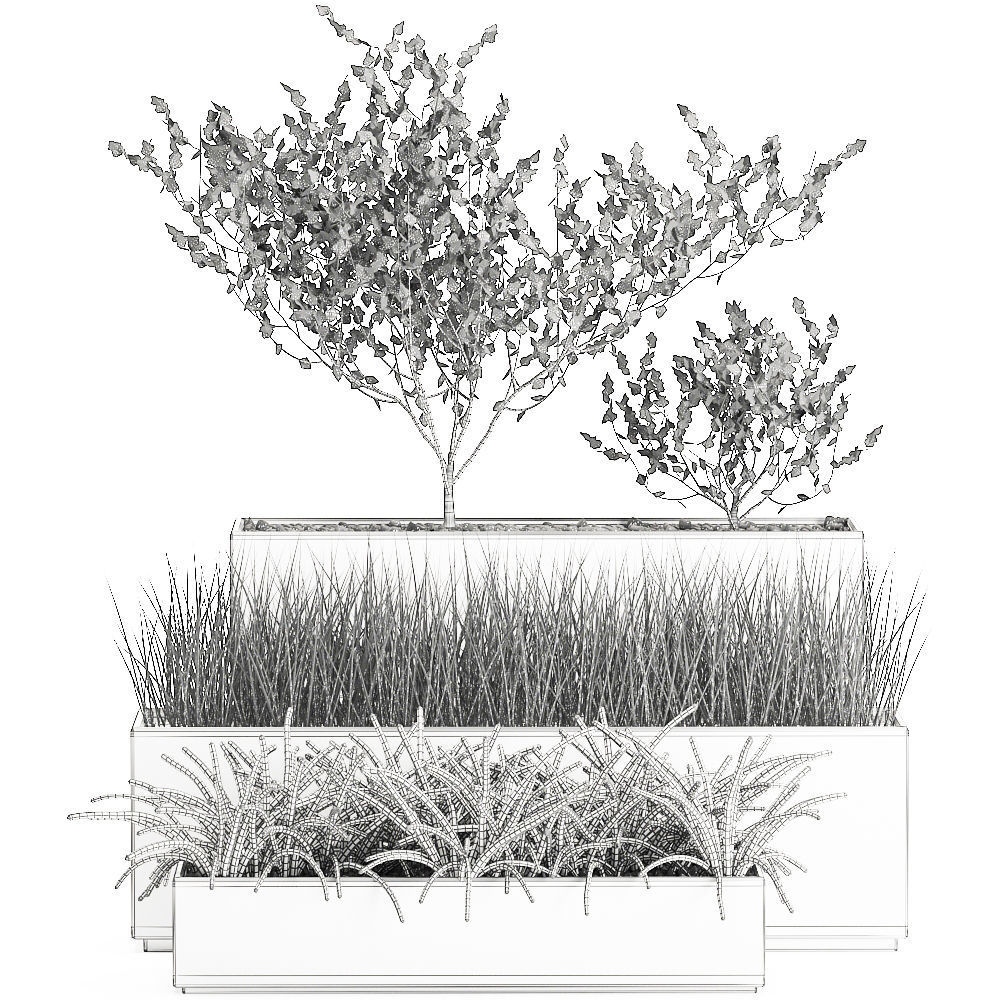 Decorative plants for the interior in a white flowerpot 585 3D model_9