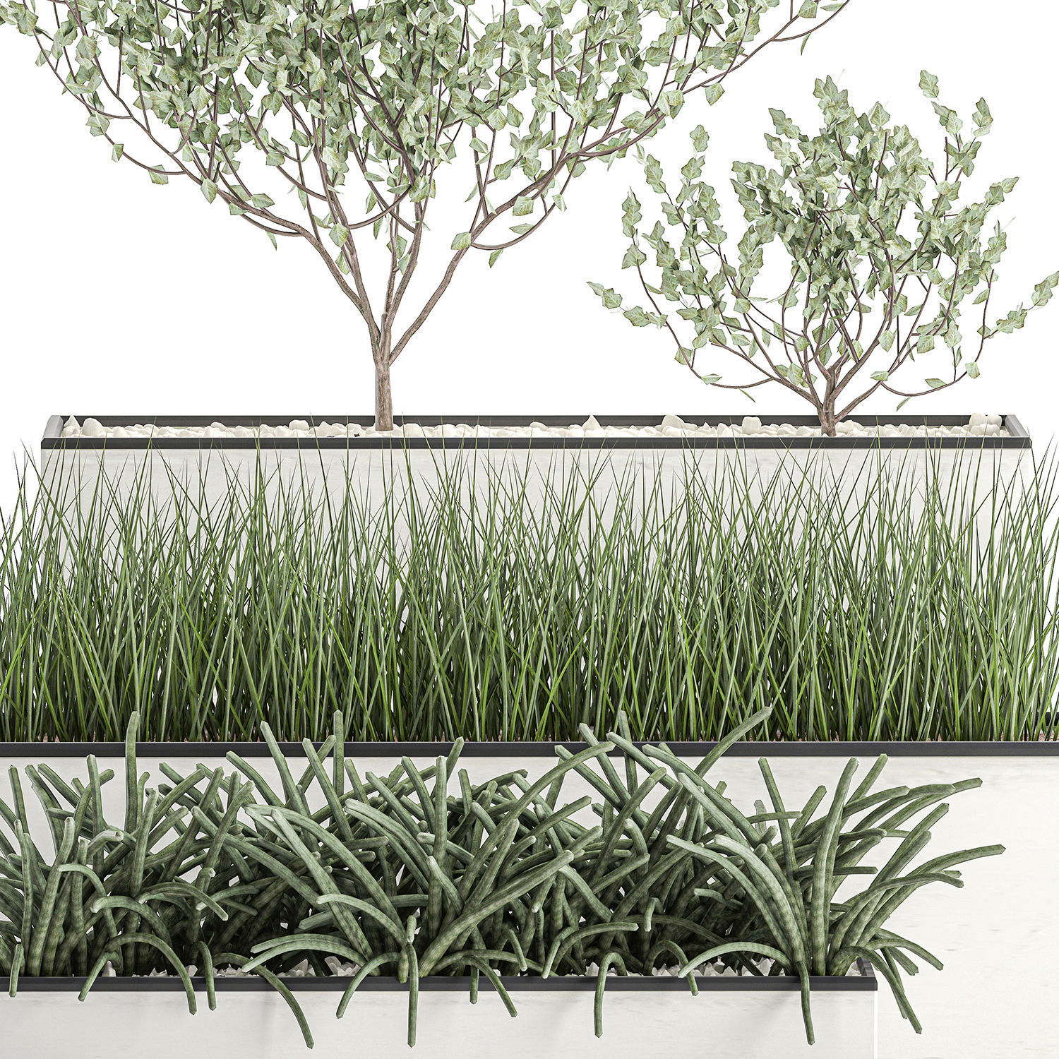 Decorative plants for the interior in a white flowerpot 585 3D model_1